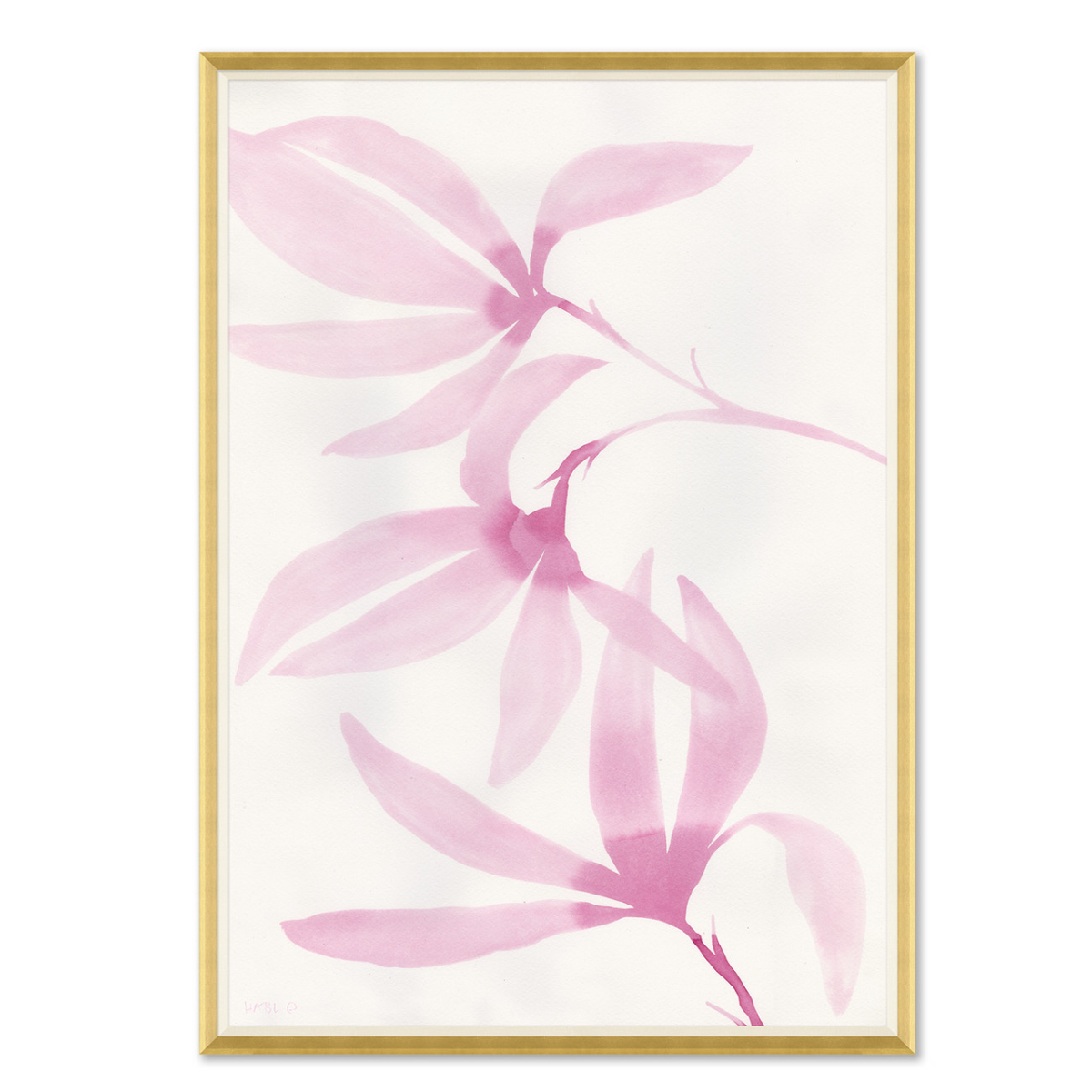 Magnolias