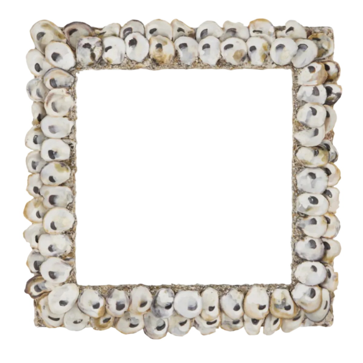 Oyster Mirror